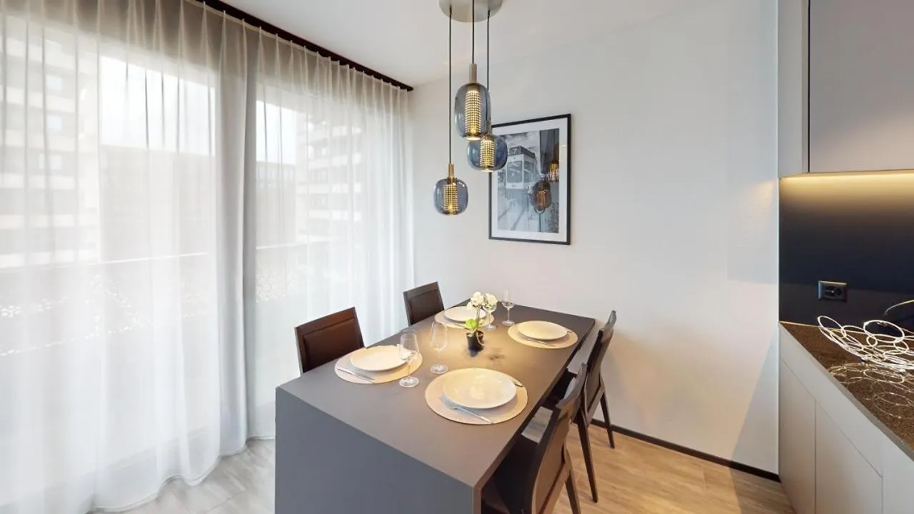Spacious 1 Bedroom Apartment With Balcony Zurich
